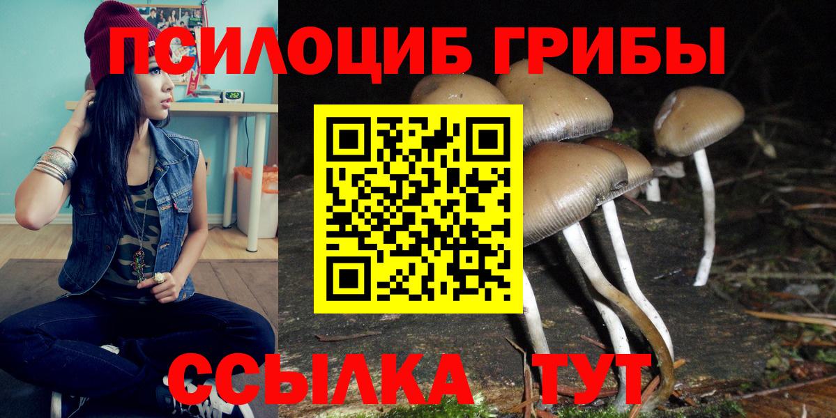 Углич  Галлюциногенные грибы Psilocybe  Вход с VPN 